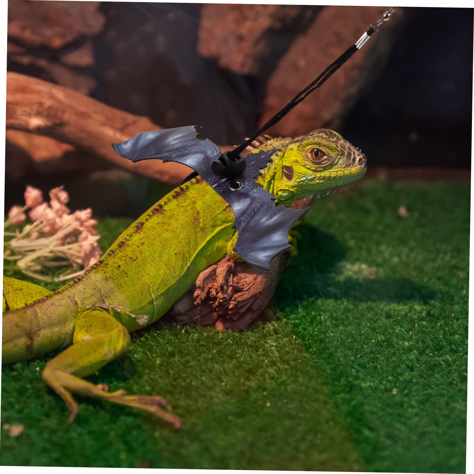 ABOOFAN 5sätze Einstellbares Eidechsen Geschirr Mit Leichtem Seil Leine Für Bartagamen Geckos Und Kleine Reptilien Zum Einfachen Spaziergang Im Freien