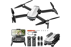 Holy Stone HS280D: Beginners' Guide to High-flying Aerial Adventures