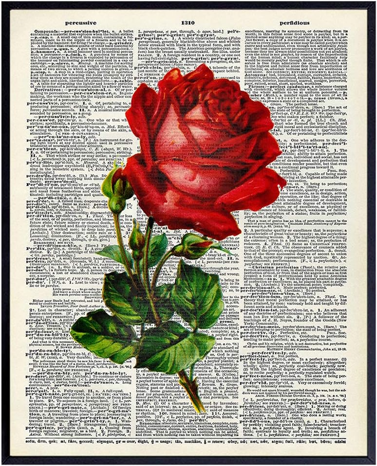 Red Rose Wall Art Print on Dictionary Photo – Vintage Ready to Frame (8×10) Photo – Makes a Perfect Gift for Steampunk Fans – Great for Home Decor