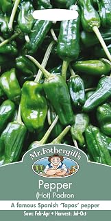 Mr Fothergills - Pictorial Packet - Vegetable - Pepper Hot Padroni - 20 Seeds