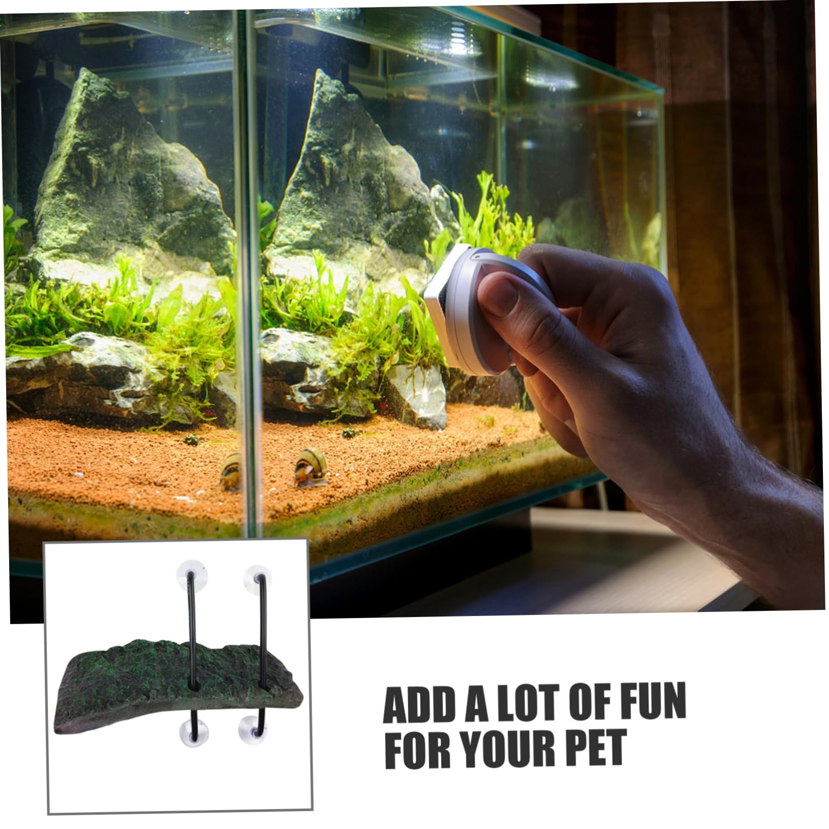 Yardwe 3 Pz Piattaforma di Sollevamento per Tartarughe Piattaforma Decorazioni per acquari petg terrario Tartarughe Accessori Tartarughe d'Acqua Arredamento dell'acquario