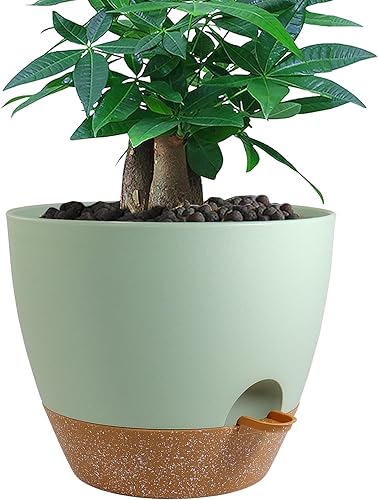 Miniatura 8 de UOUZ Macetas grandes de riego automático de 12 pulgadas, macetas de plástico con depósito profundo extraíble de 60 onzas y agujeros de drenaje de