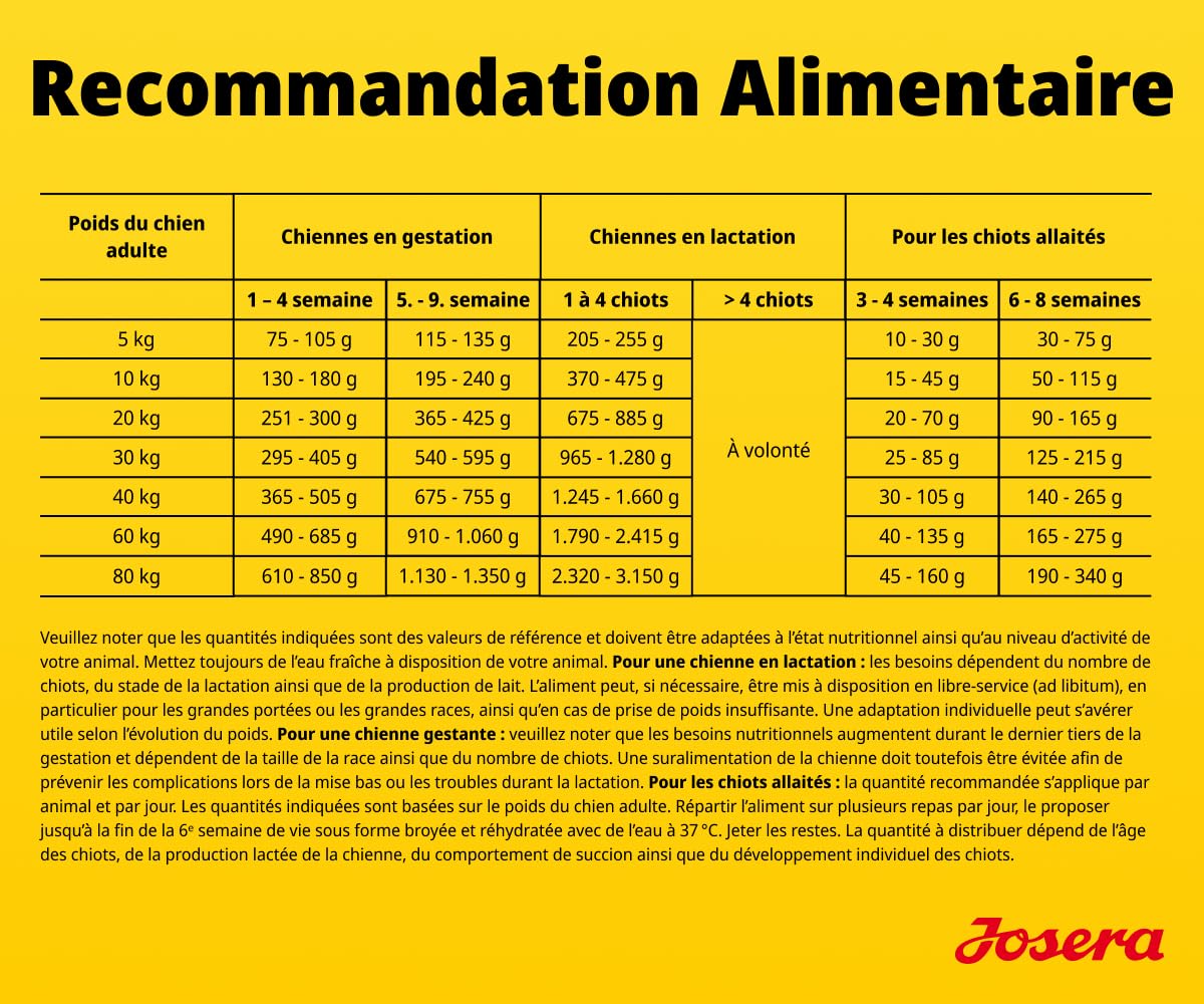 JOSERA Mother & Puppy Saumon & Riz (1 x 12,5 kg) | Croquettes Haut de Gamme pour chiennes gestantes/allaitantes et Chiots | Apport Optimal en énergie et en L-carnitine | sans Gluten | Lot de 1