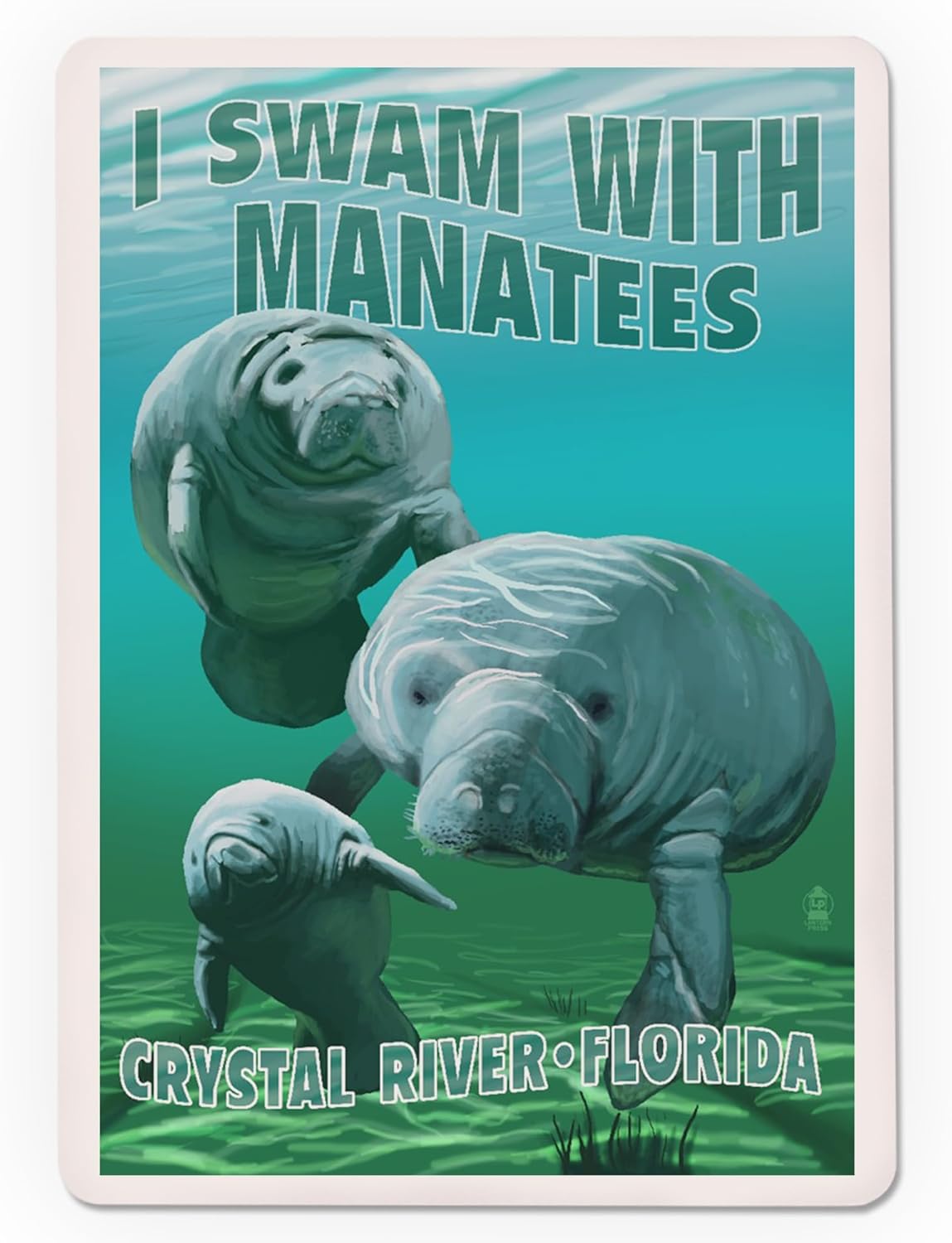 Lantern Press Crystal River, Florida, I Swam with Manatees, 52 Playing Cards for Adults, Poker Size Card Deck