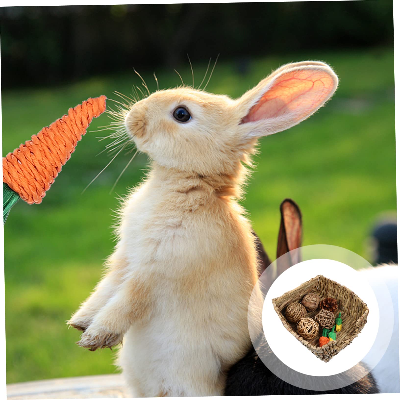 BESPORTBLE 1set Giocattoli Da Masticare Per Conigli e Cincillà Letto e Accessori Intrecciati Per Gioco e La Solitudine Degli Animali Domestici