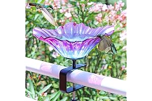 MUMTOP Purple Bird Bath