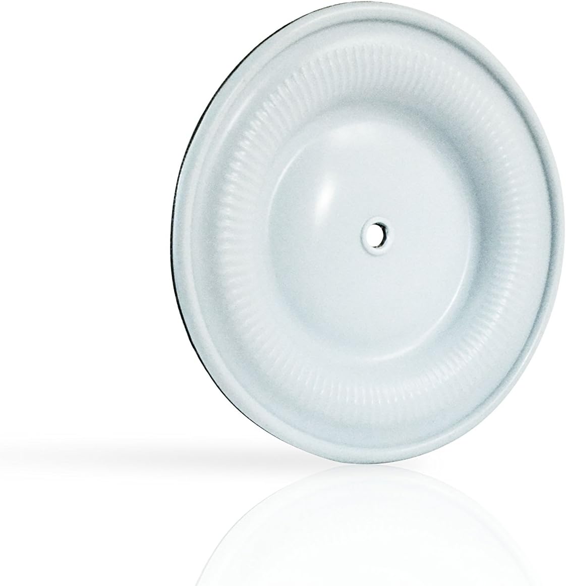 Garlock PA0030 ONE-UP PTFE and Neoprene Rubber Diaphragm for Most 1" Graco AODD Pumps (Pack of 2)