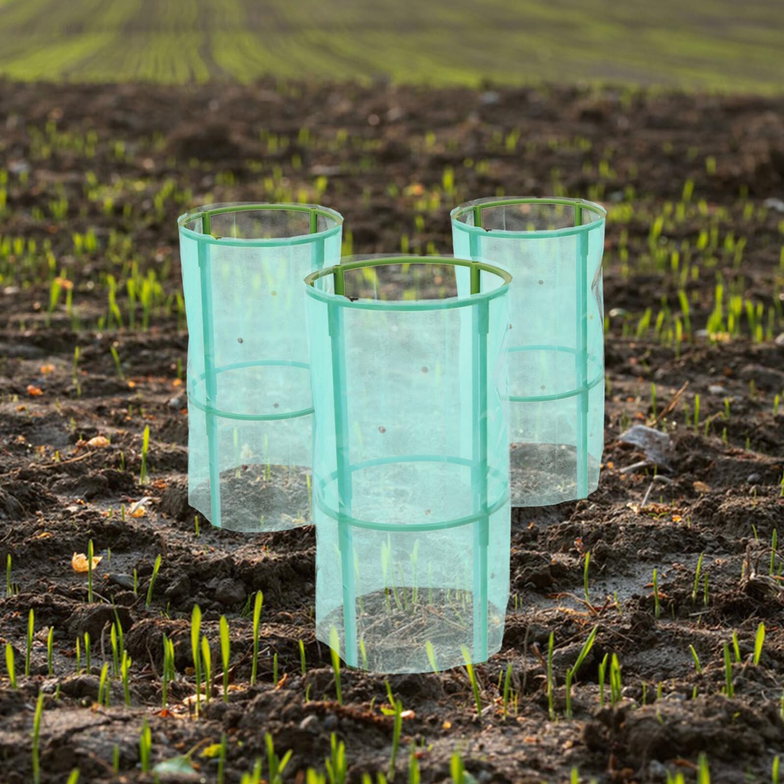 Sosoport 4 Set protettori delle Piante in Gabbia protettore delle Piante del Giardiniere da vivaio Protettore vegetale Green
