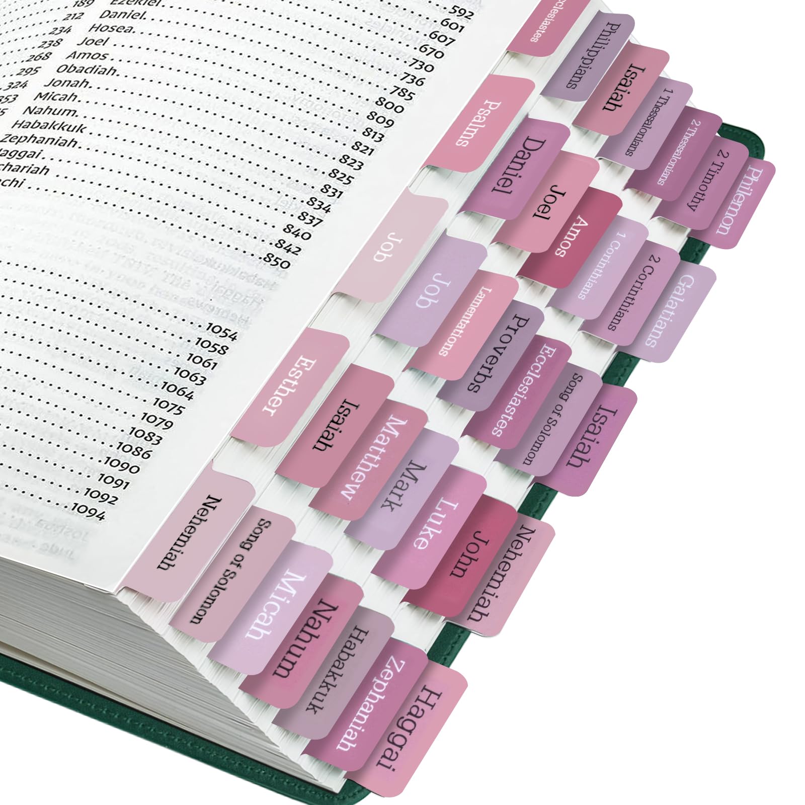 Bible Tabs, 75 Tabs, Laminated Bible Index Tabs for Women and Men, Bible Book Tabs for Easy Navigation, Large Print Easy to Read (Pink)