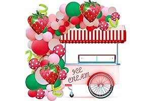 Strawberry Birthday Party Decorations: A Garland Arch Kit for Berry Sweet Celebrations