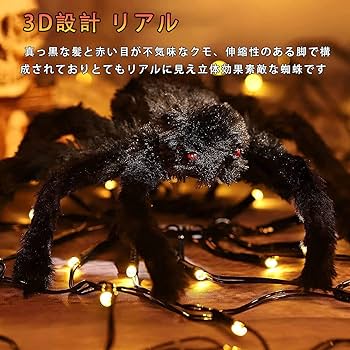 蜘蛛の巣６面ランプ 蜘蛛の巣6面ランプ