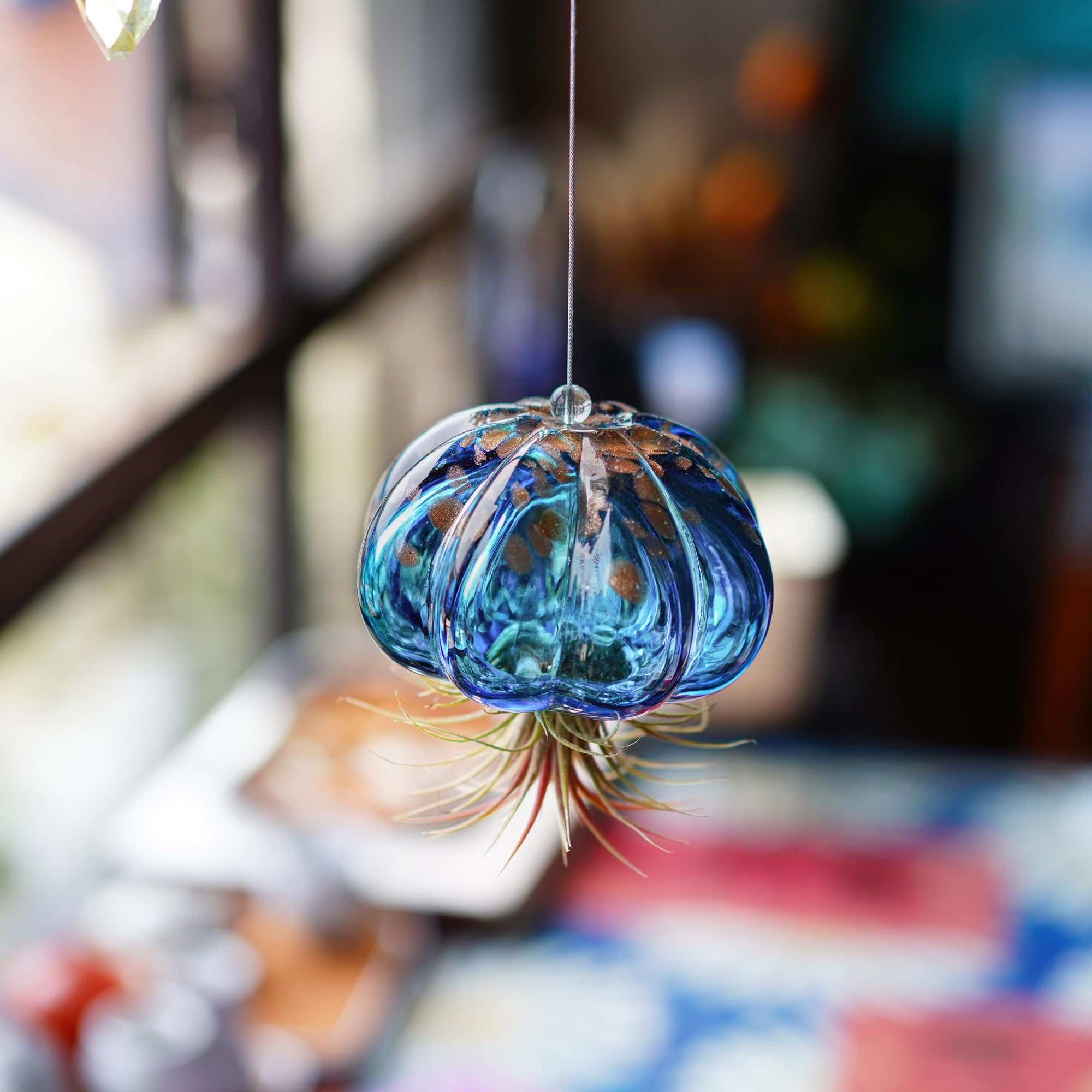 Vaso per piante aeree da appendere a forma di medusa Soffiato in vetro, dolce medusa blu, regalo per camera delle donne, giardino, decorazione per feste di nozze