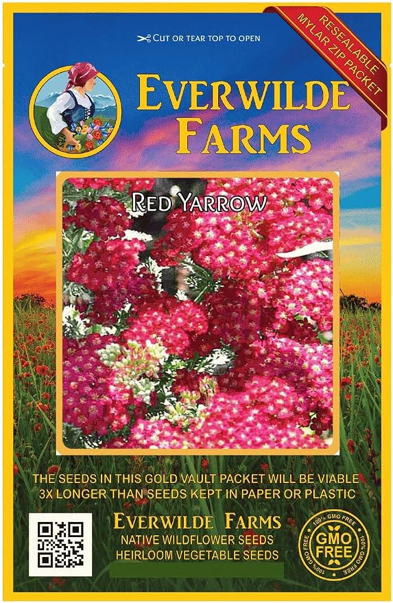 2000 Creeping Daisy Wildflower Seeds - Everwilde Farms Mylar Seed 2000 Creeping Daisy Wildflower Seeds - Everwilde Farms Mylar Seed