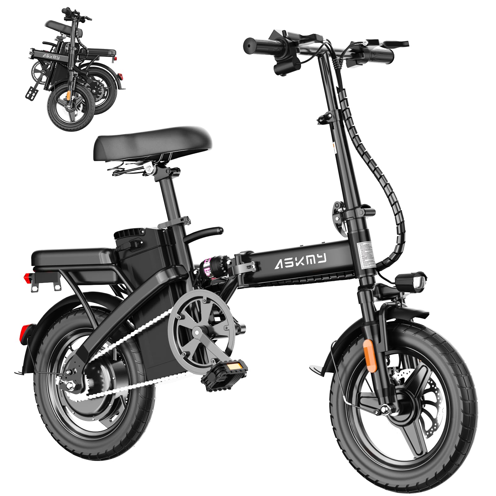 RPINT Foldable Electric Bike for Adults