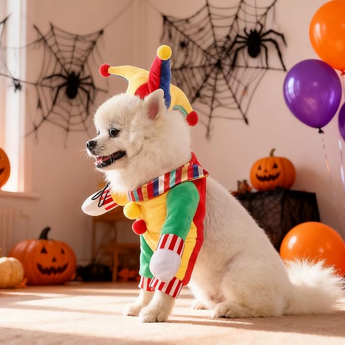 Disfraz de payaso para perro pequeño, con sombrero, ajustable miniatura 4