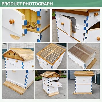 Flow Beehive Kit, Automatic Honey Flow System with Reusable Flow Frames