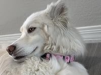 Review Image by ME in AZ ME in AZ