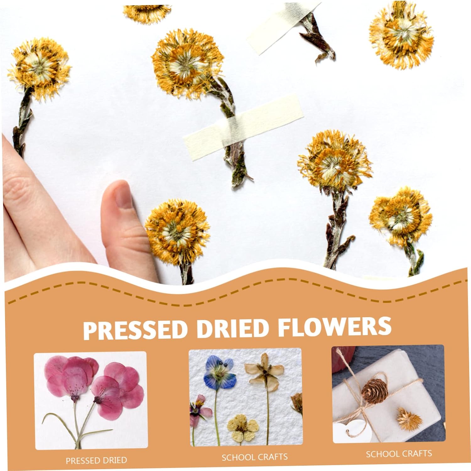 ELAYARD 6pcs Reusable Flower Press Board Paper for School Crafts