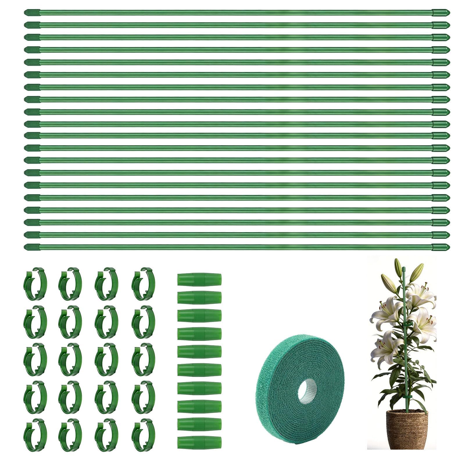 Adjustable Plant Support Set, 30cm Indoor Plant Stakes Sticks20PCS with 20 Orchid Clips 10 Connect Pipe & 3m Plant Ties for Flower Climbing Poles Green Orchid Stick Indoor and Outdoor Flowers Potted
