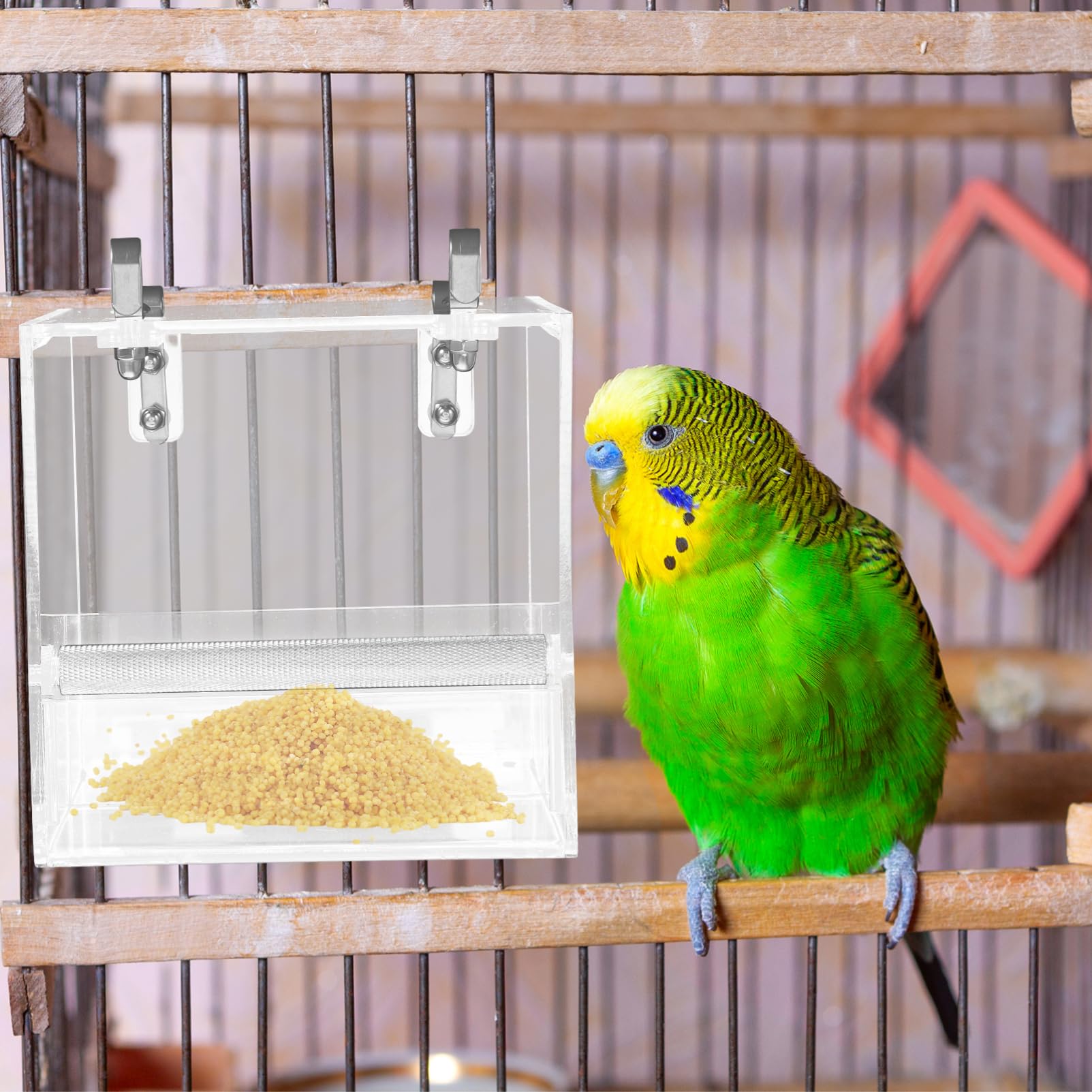 Mangeoire à Oiseaux Automatique pour Perroquet, Plastique, Bol | Design Suspendu, Installation Facile, Usage Maison et Cage, Adapté aux Petits Oiseaux