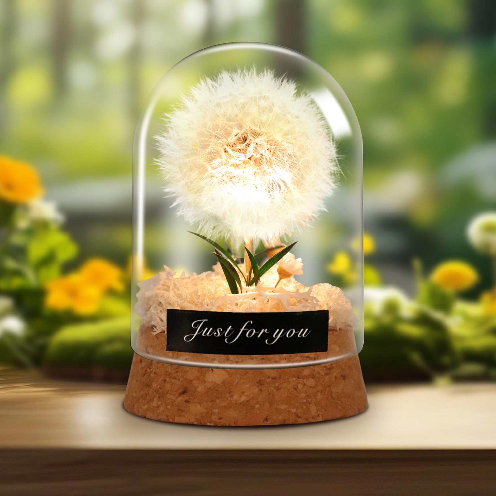 Danolt Wunscherfüller Pusteblume im Glas mit LED Licht Ewige Blume als Besondere Geschenkidee (Weiße)