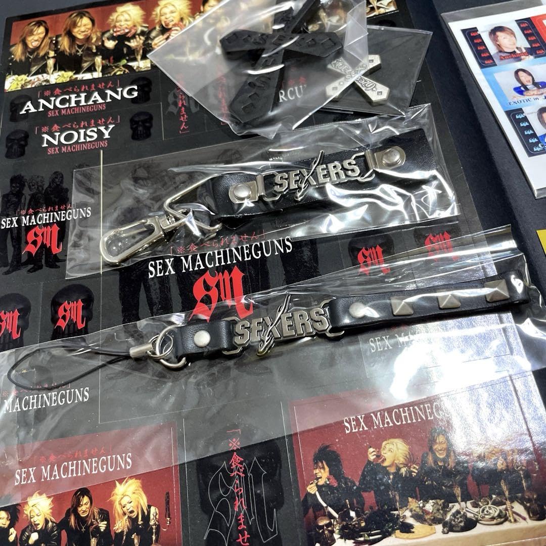 セックスマシンガンズ SEX MACHINEGUNS 20th Anniversary Tour~春の祭典 な~るほどザ