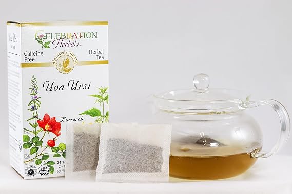 CELEBRATION HERBALS Uva Ursi Tea, 24 Bag, 0.02 Pound
