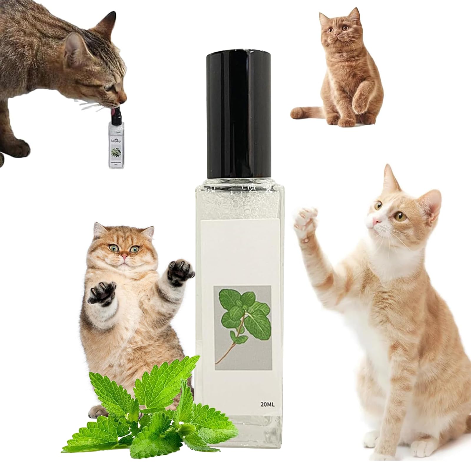 Rhycoma Herbal Cat Joy Spray, Kitty Joy Herbal Cat Spray,for All Cat, Cat Nip Spray for Cats, Catnip Spray for Indoor Cats, Cat Training Spray with Catnip (1PCS)