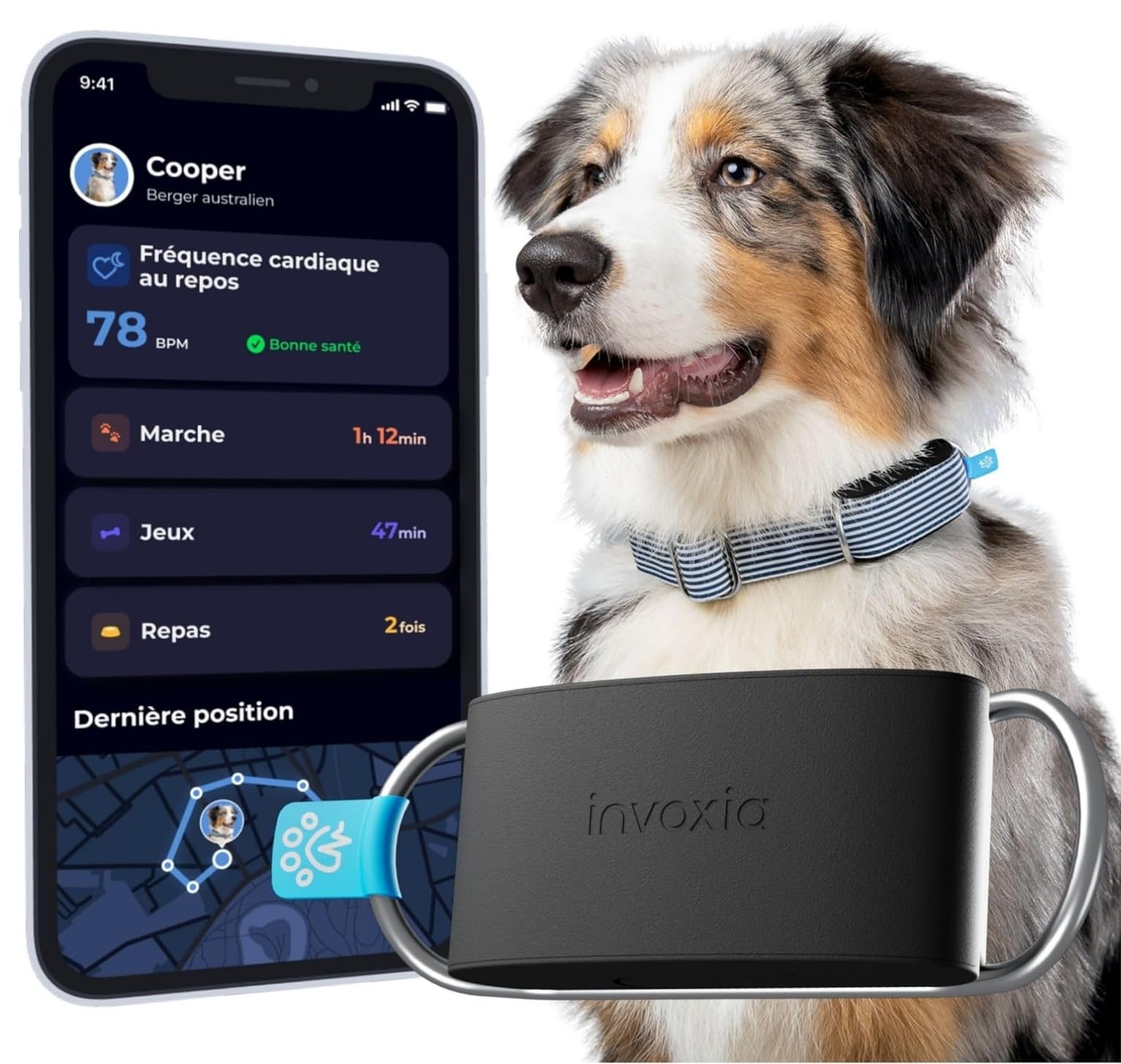 Invoxia Biotracker GPS et Suivi Santé pour Chien | Suivi cardiaque, respiratoire et sommeil, GPS LTE-M 4G, sans abonnement, autonomie 15 jours