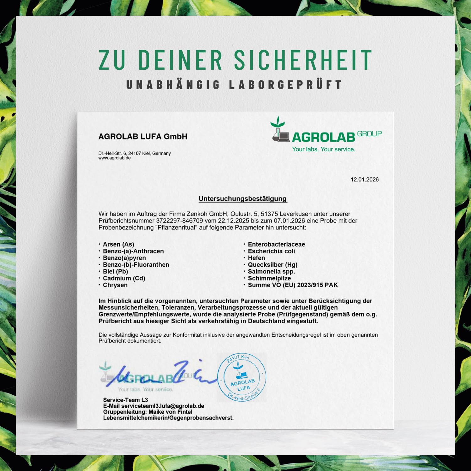 NATURTREU® Greens Pulver - 300g Smoothie Powder mit Weizengras, Gerstengras, Lucuma, Maca, Spinat, Moringa, Spirulina und mehr grünen Helfern - 100% vegan - in Deutschland hergestellt