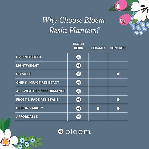 Miniatura 5 de Macetero de riego automático