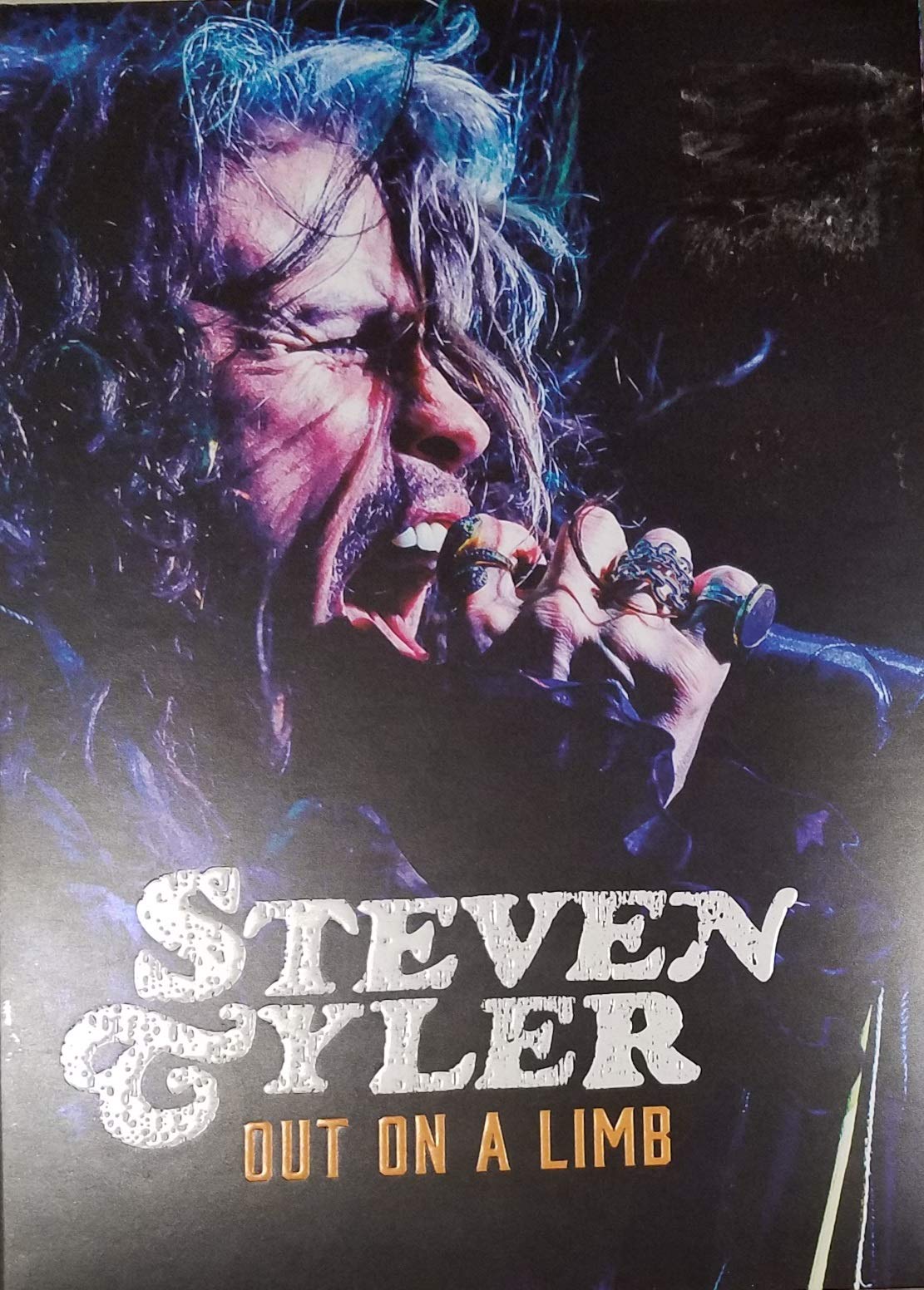 Steven Tyler: Out on a Limb [DVD]