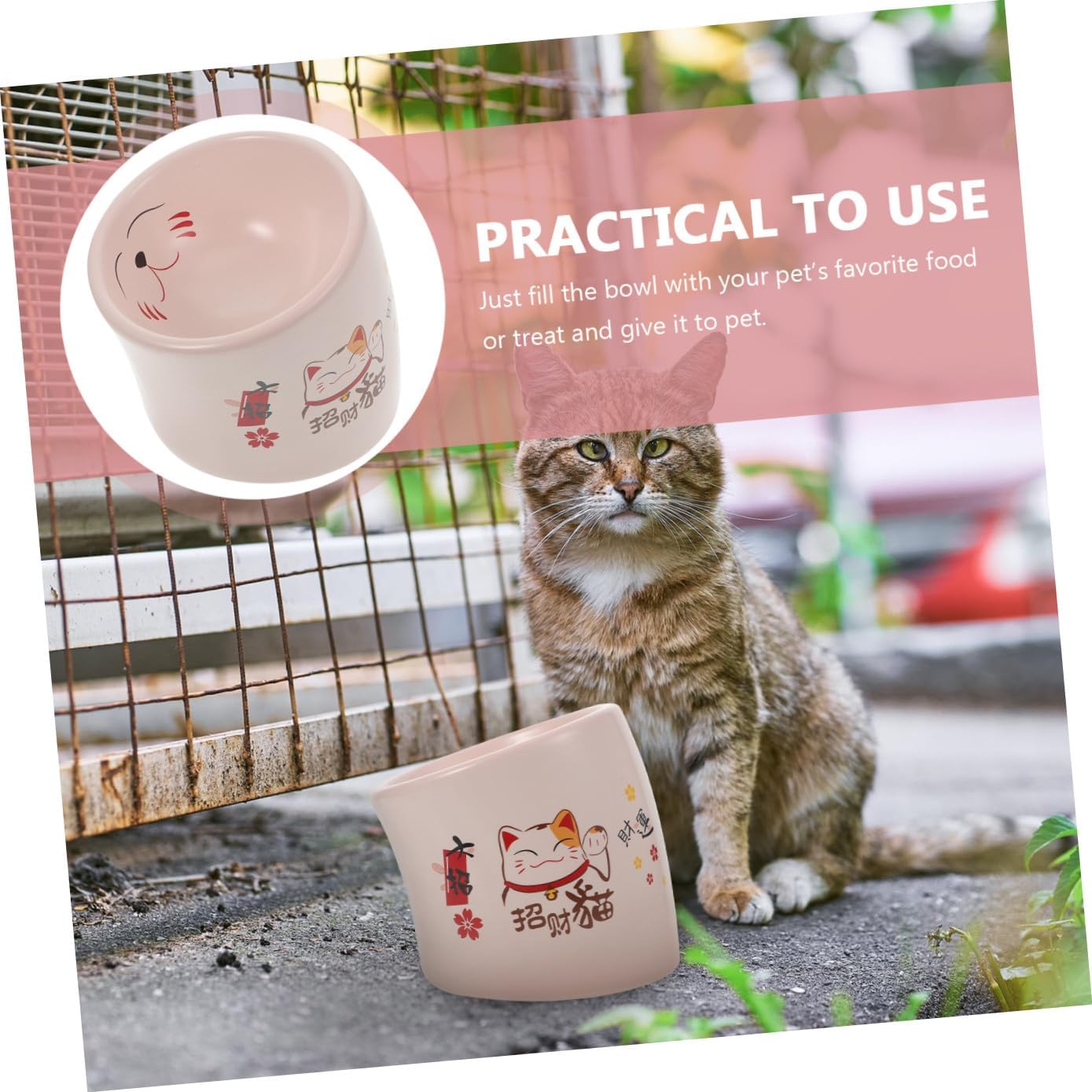 DECHOUS Ceramic Spill-Resistant Cat Bowl with Raised Base Pink High Footed Pet Cat Feeding Dish for Kittens