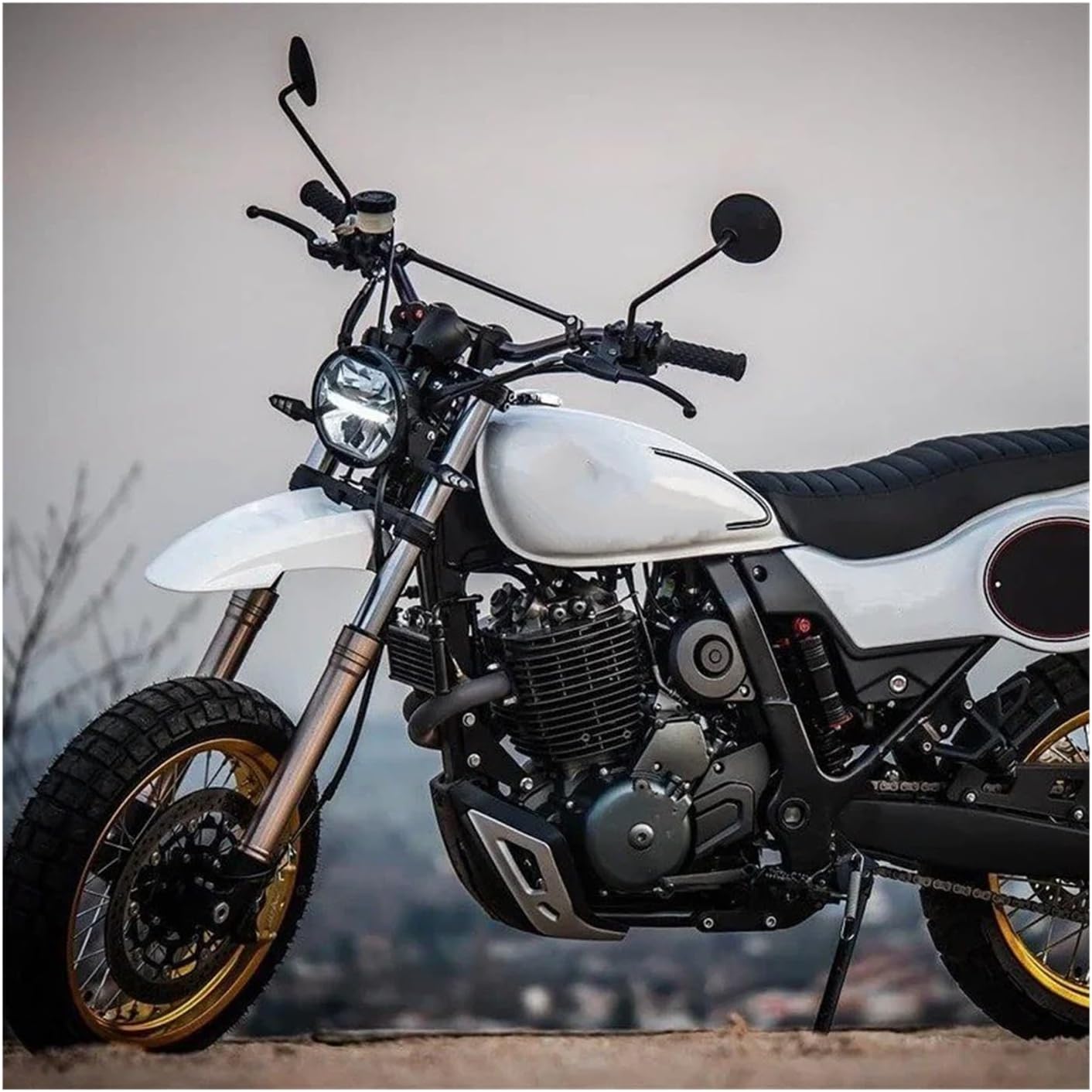 エコロインターナショナル D&D 3箱