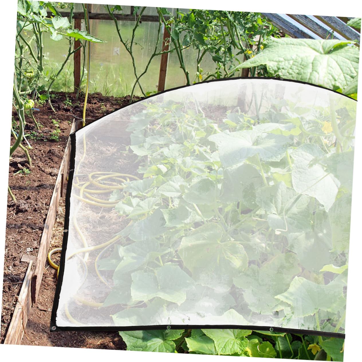 BESPORTBLE Cubiertas para Invernaderos Películas para Jardín Resistente Al Agua Antienvejecimiento Protección Climática