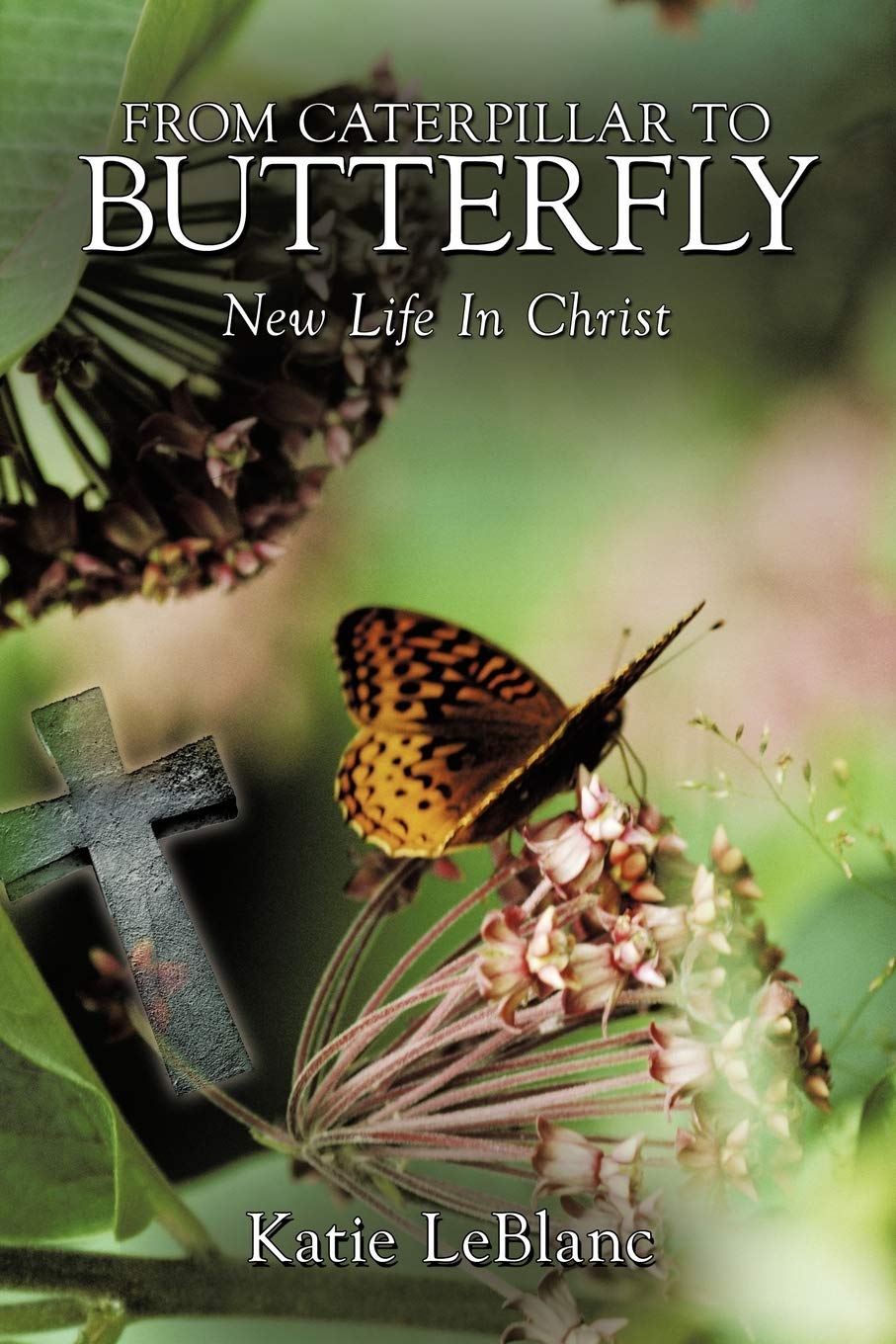 From Caterpillar to Butterfly: New Life In Christ