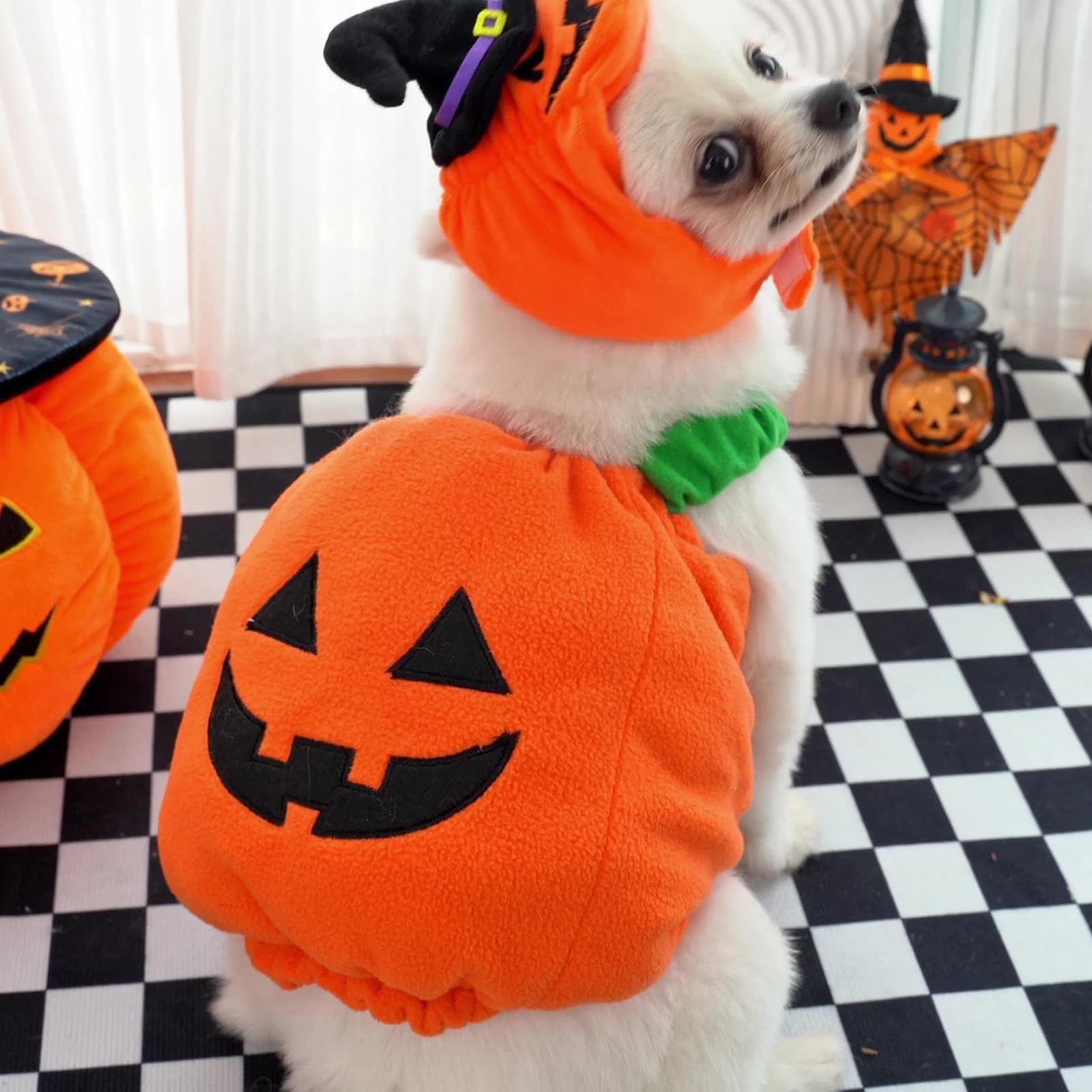 Travestimento per Cani a Forma di Vestito Caldo da Cosplay di Halloween per | Cappello Da Cane Con Costume Per Feste A Tema Fotografie Passeggiate Quotidiane Autunno Inverno