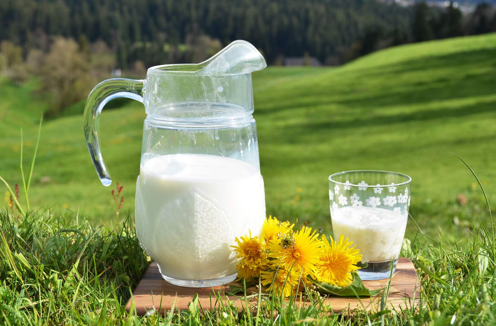 Milchzucker, Lactose, feines hochwertiges Laktose Pulver Hergestellt in Süddeutschland/Schwarzwaldmilch. PP-Eimer 15KG
