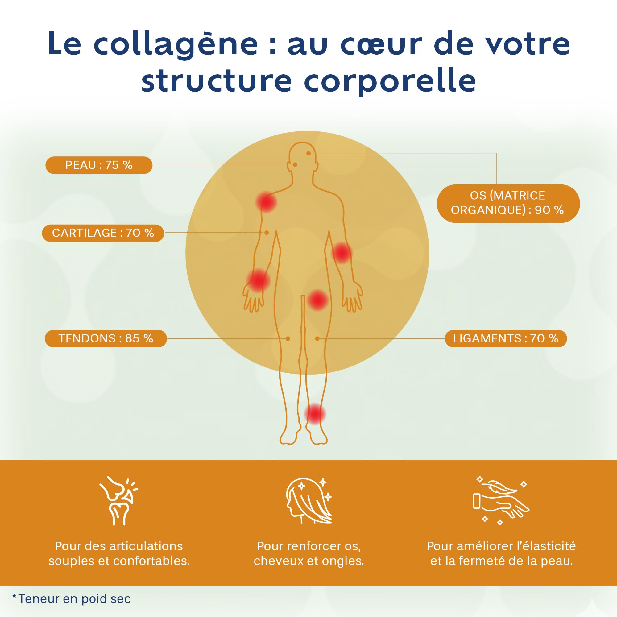COLLAGENE Hydrolysé en Poudre + Vitamine C | Soutien Articulations,Os Peau | Colpropur Care |10g/jour | formule pure sans sucre ni OGM | Saveur Neutre | Complément Alimentaire | cure 1 mois