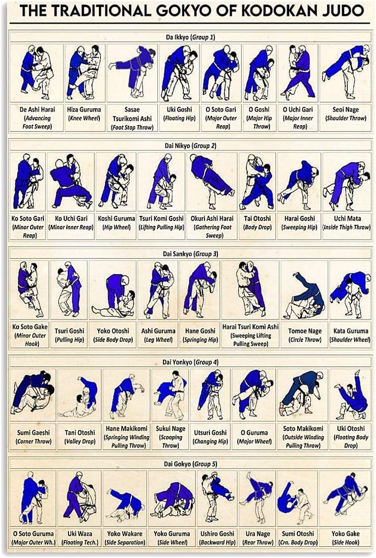 peiyeety Judo Knowledge Metal Sign Vintage Martial Arts Hall Decor Tin Sign The Traditional Gokyo of Kodokan Judo Poster Home Club Office Wall Art Decor Plaque 8"x12"