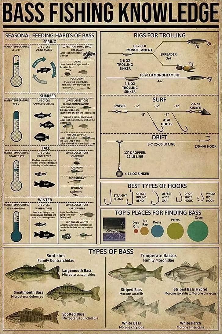 Bass Fishing Knowledge Diamond Art Kits for Adults,DIY 5D Diamond Painting Kits for Beginners, Round Full Drill Diamond Dots Paintings for Adults Crafts Home Decor 20X20 Inch