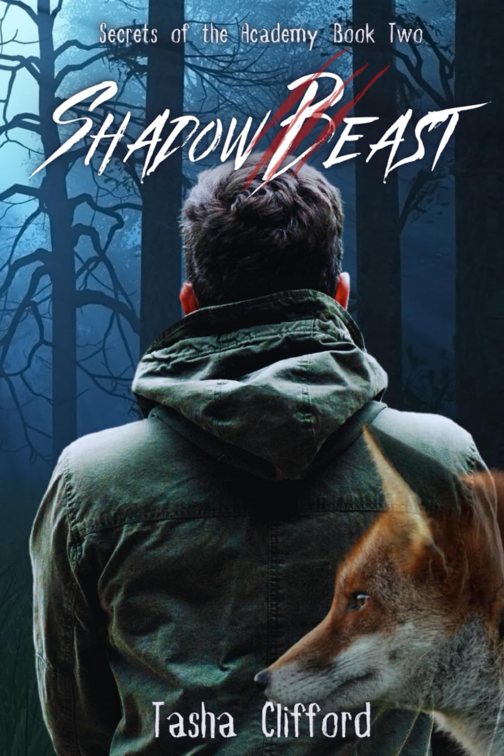Shadow Beast (Secrets of the Academy)