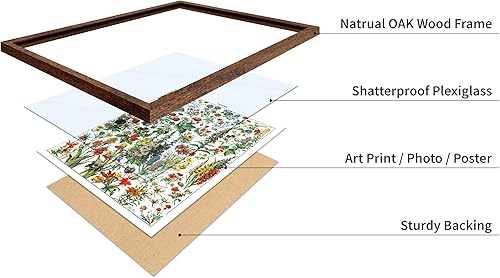 Miniatura 373 de Poster Master Póster vintage de orquídea, estampado de flores retro, arte de pared de plantas exóticas, arte botánico, regalo para hombres y