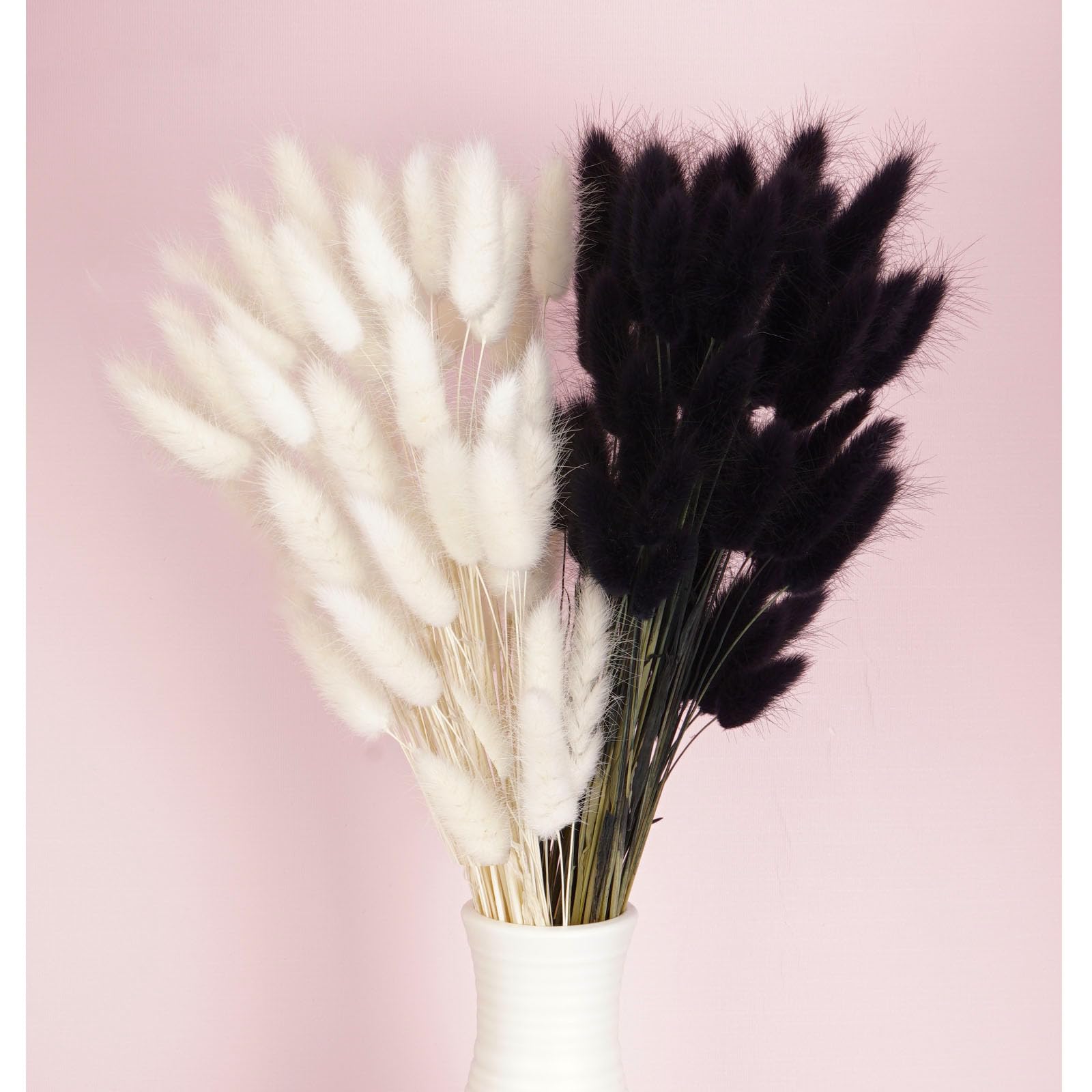 Lot de 120 fleurs séchées à l'herbe de la pampa pour vase, fleurs séchées pour haleine de bébé, décoration de mariage, fleurs sèches pour vase (blanc 60 pièces + 60 noirs)