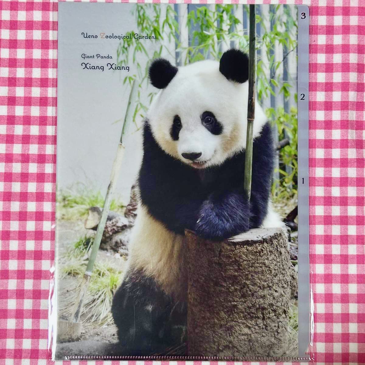 Amazon.co.jp: 上野動物園3ポケットクリアファイル シャンシャン