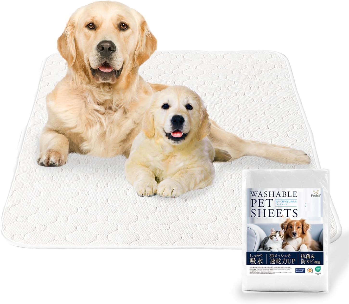 【瞬間吸水モデル × 動物看護師と開発】洗えるペットシーツ 2枚入り 犬猫兼用 速乾3Dメッシュ 再利用可能犬用トレーニングパッド