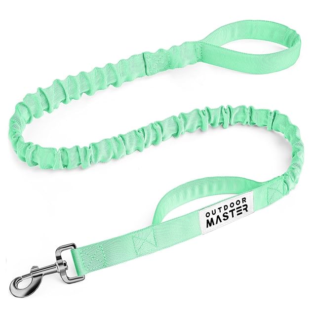 OutdoorMaster Correa elástica para perro, resistente con absorción de impactos, 2 asas acolchadas
