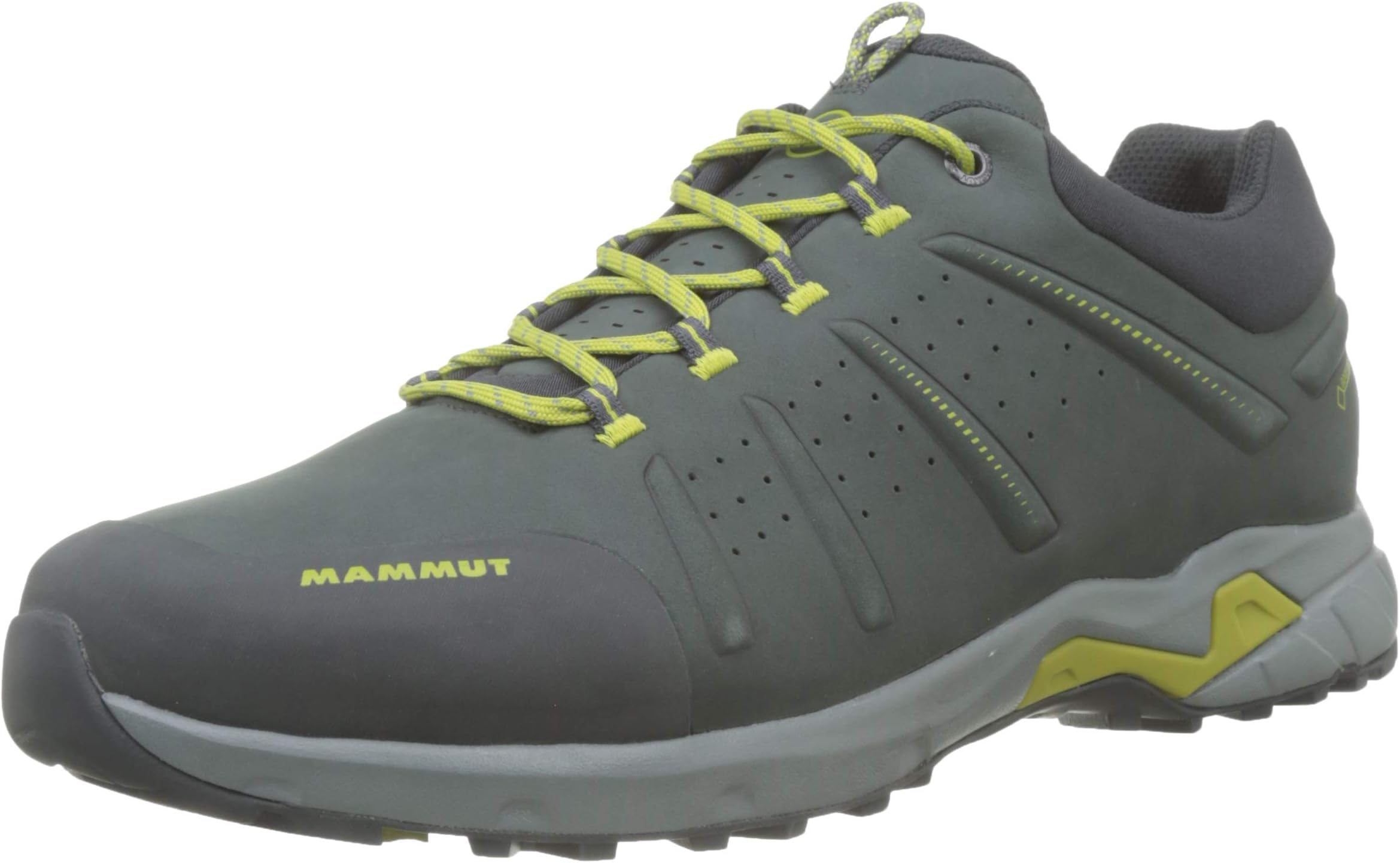 Men Convey Low GTX® Hiking & Trekking Shoe