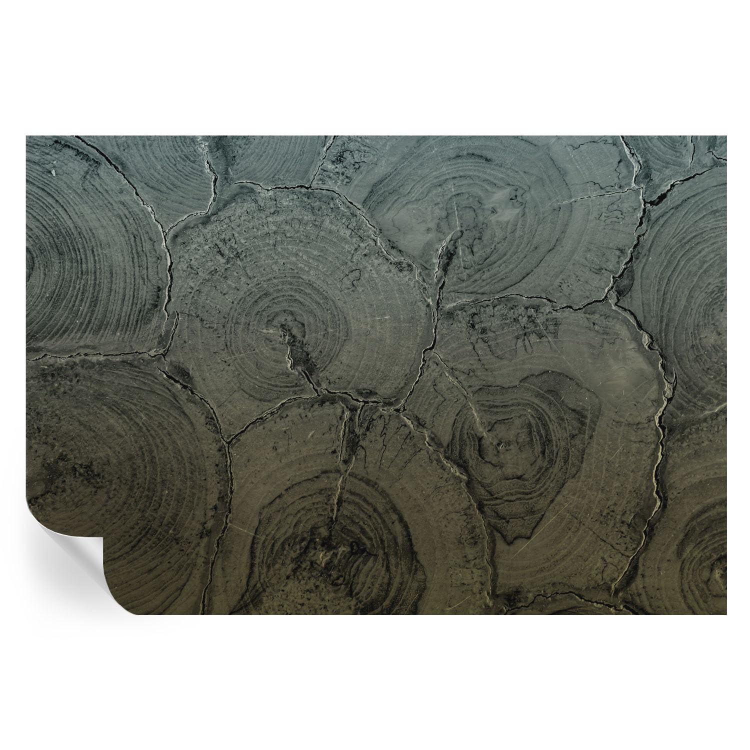 Vinilos autoadhesivos de 152x104 cm de anillos de madera para tapar imperfecciones de pared