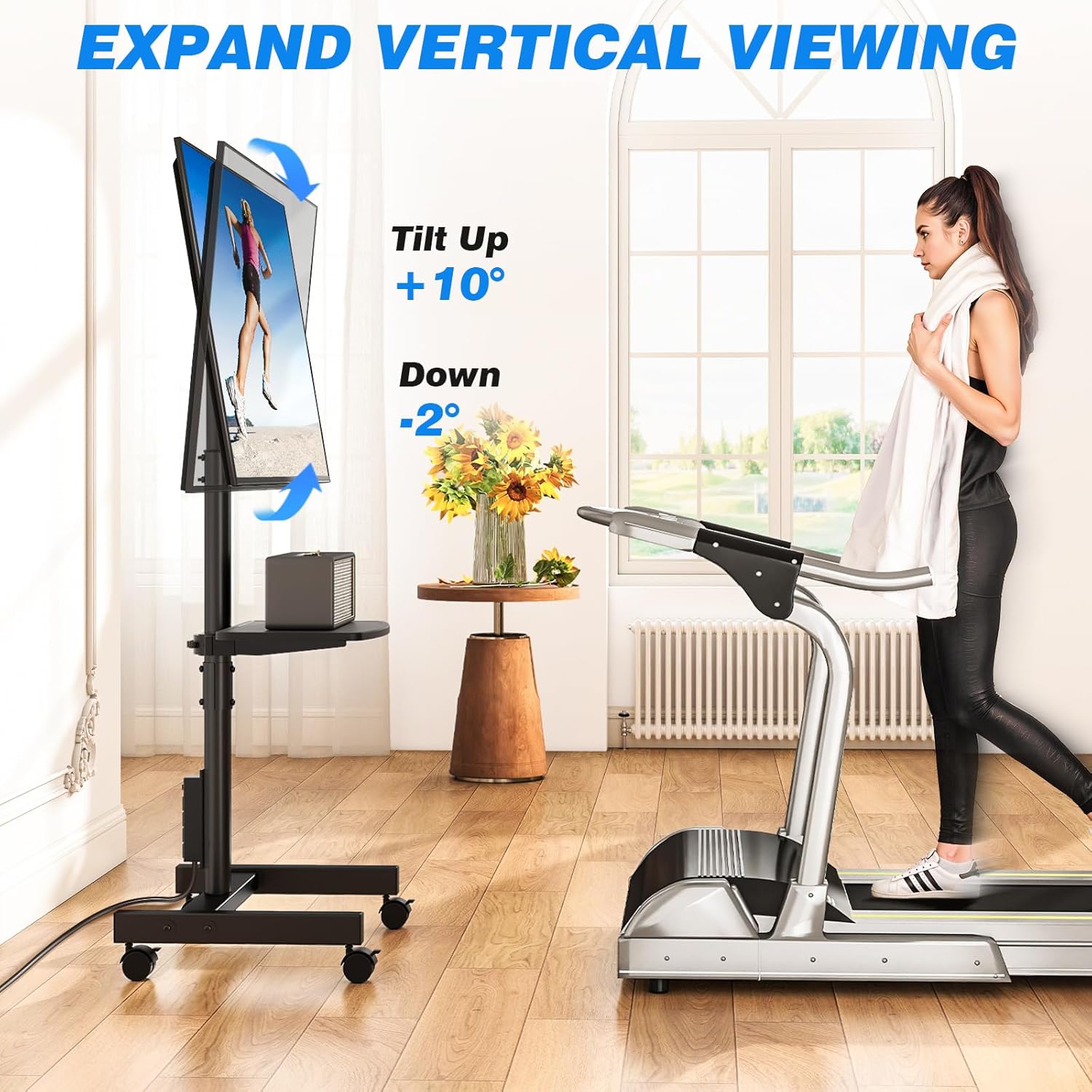Rfiver Mobile TV Stand Vertical Viewing Tilt